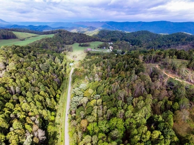 Acreage With Rustic Cabin For Sale In Marion VA - image 30