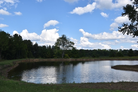 Turnkey TN Horse Stables & Boarding Operation, Living Qtrs. - image 11