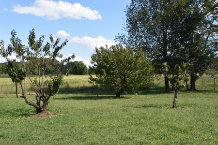 Turnkey TN Horse Stables & Boarding Operation, Living Qtrs. - image 14