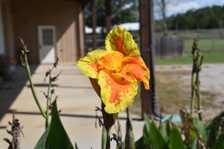 Turnkey TN Horse Stables & Boarding Operation, Living Qtrs. - image 10