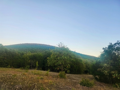 Country Tracts For Sale Building Site Nine Pine Rd Claytonok - image 9