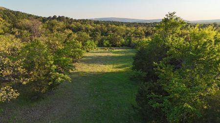 Country Tracts For Sale Building Site Nine Pine Rd Claytonok - image 27