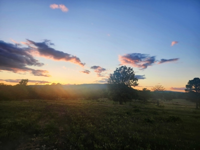 Country Tracts For Sale Building Site Nine Pine Rd Claytonok - image 14