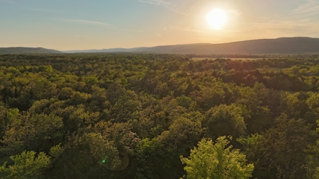 Country Tracts For Sale Building Site Nine Pine Rd Claytonok - image 22
