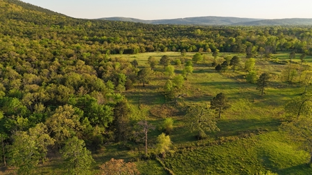 Country Tracts For Sale Building Site Nine Pine Rd Claytonok - image 23