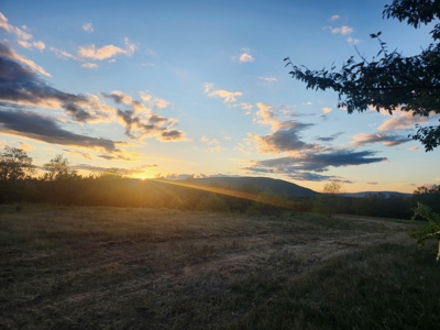 Country Tracts For Sale Building Site Nine Pine Rd Claytonok - image 12