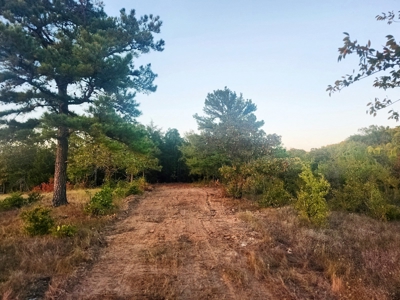 Country Tracts For Sale Building Site Nine Pine Rd Claytonok - image 5
