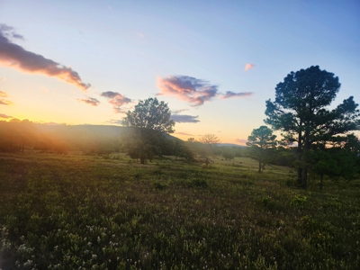 Country Tracts For Sale Building Site Nine Pine Rd Claytonok - image 11