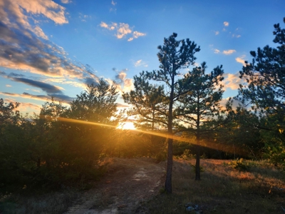 Country Tracts For Sale Building Site Nine Pine Rd Claytonok - image 15