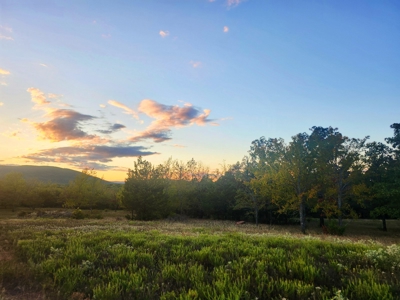 Country Tracts For Sale Building Site Nine Pine Rd Claytonok - image 10