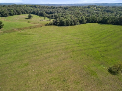 Beautiful 167-Acre Working Farm With Abundant Water - image 7