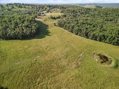 Beautiful 167-Acre Working Farm With Abundant Water - image 8