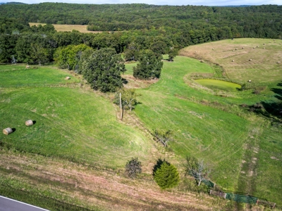 Beautiful 167-Acre Working Farm With Abundant Water - image 5