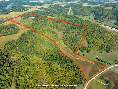 130 Acres of Prime Hunting Land in New Albin, IA - image 1