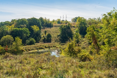 130 Acres of Prime Hunting Land in New Albin, IA - image 12