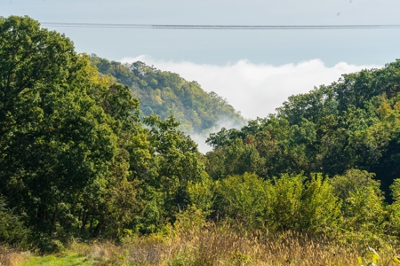 130 Acres of Prime Hunting Land in New Albin, IA - image 19