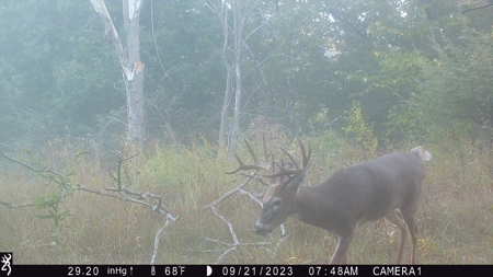 130 Acres of Prime Hunting Land in New Albin, IA - image 28