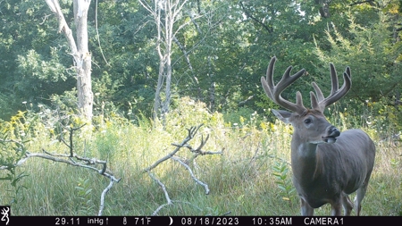 130 Acres of Prime Hunting Land in New Albin, IA - image 26