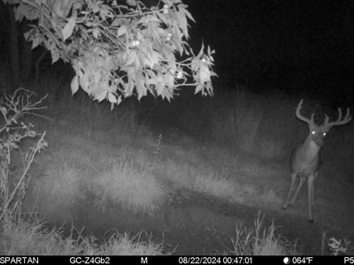 130 Acres of Prime Hunting Land in New Albin, IA - image 22