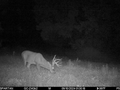 130 Acres of Prime Hunting Land in New Albin, IA - image 23