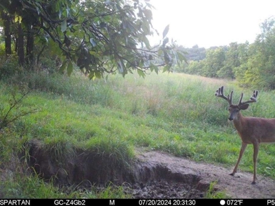 130 Acres of Prime Hunting Land in New Albin, IA - image 20