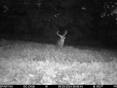 130 Acres of Prime Hunting Land in New Albin, IA - image 25