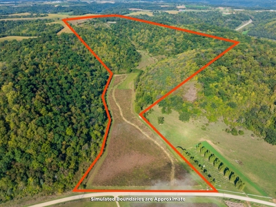 130 Acres of Prime Hunting Land in New Albin, IA - image 2