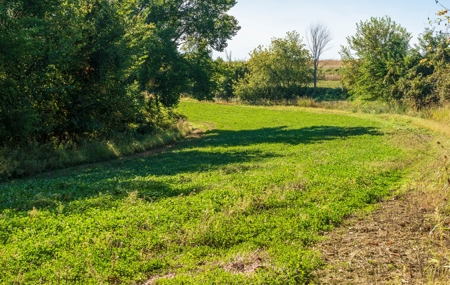 130 Acres of Prime Hunting Land in New Albin, IA - image 15