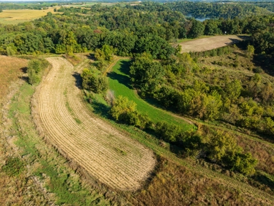 130 Acres of Prime Hunting Land in New Albin, IA - image 8