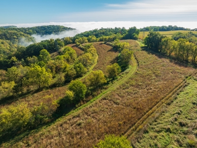 130 Acres of Prime Hunting Land in New Albin, IA - image 9