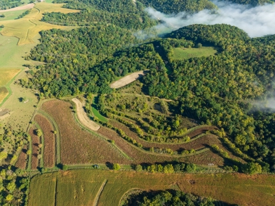 130 Acres of Prime Hunting Land in New Albin, IA - image 4