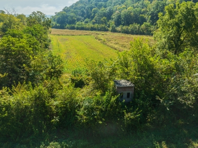 130 Acres of Prime Hunting Land in New Albin, IA - image 10