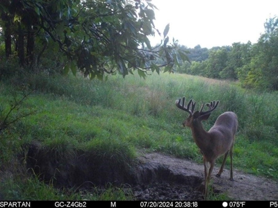 130 Acres of Prime Hunting Land in New Albin, IA - image 21