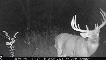 130 Acres of Prime Hunting Land in New Albin, IA - image 27