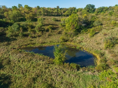 130 Acres of Prime Hunting Land in New Albin, IA - image 7