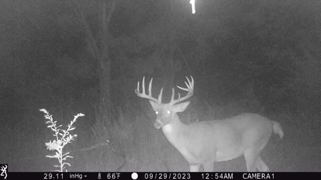 130 Acres of Prime Hunting Land in New Albin, IA - image 24