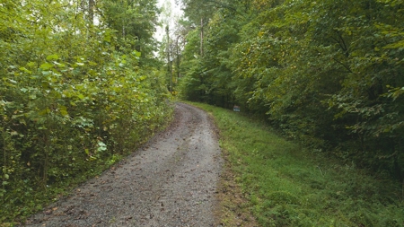Large Wooded Tract for Sale in Danville VA - image 2