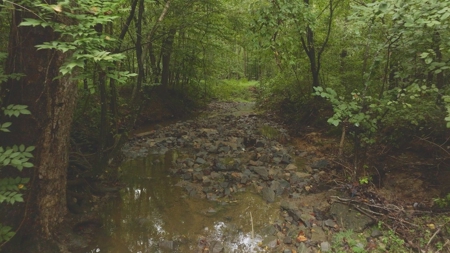 Large Wooded Tract for Sale in Danville VA - image 8