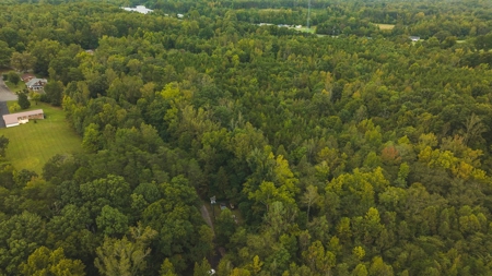 Large Wooded Tract for Sale in Danville VA - image 4