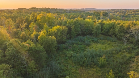 Large Wooded Tract for Sale in Danville VA - image 13