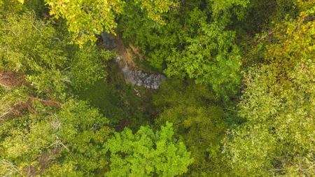 Large Wooded Tract for Sale in Danville VA - image 7
