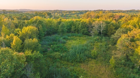 Large Wooded Tract for Sale in Danville VA - image 12