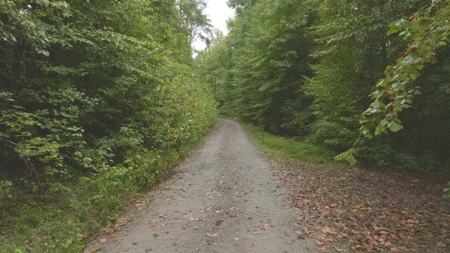 Large Wooded Tract for Sale in Danville VA - image 10