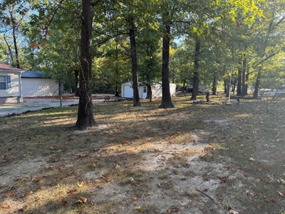 Lake Home with Outbuildings, Auction 11-9-24 - image 11