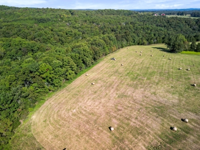 Charming 2-Bedroom Farmhouse on 154-Acre Farm - image 22