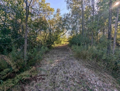 Riverfront Property For Sale in New London, WI - image 10