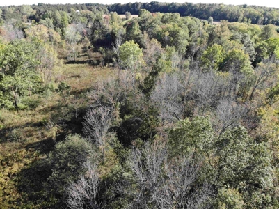 Riverfront Property For Sale in New London, WI - image 29