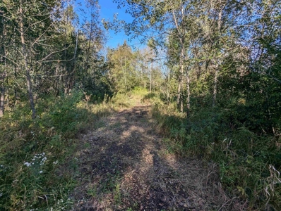 Riverfront Property For Sale in New London, WI - image 19