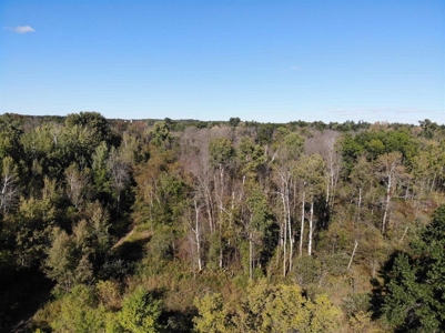 Riverfront Property For Sale in New London, WI - image 35