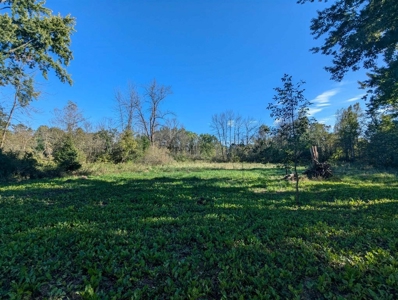 Riverfront Property For Sale in New London, WI - image 13